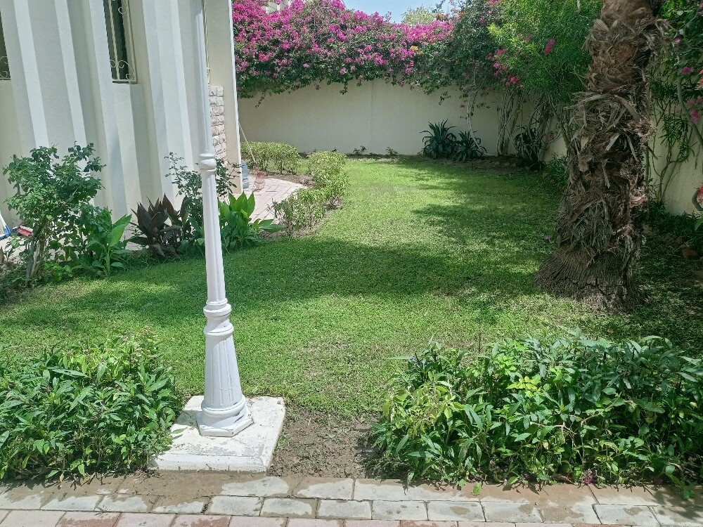 البلوشی - 2