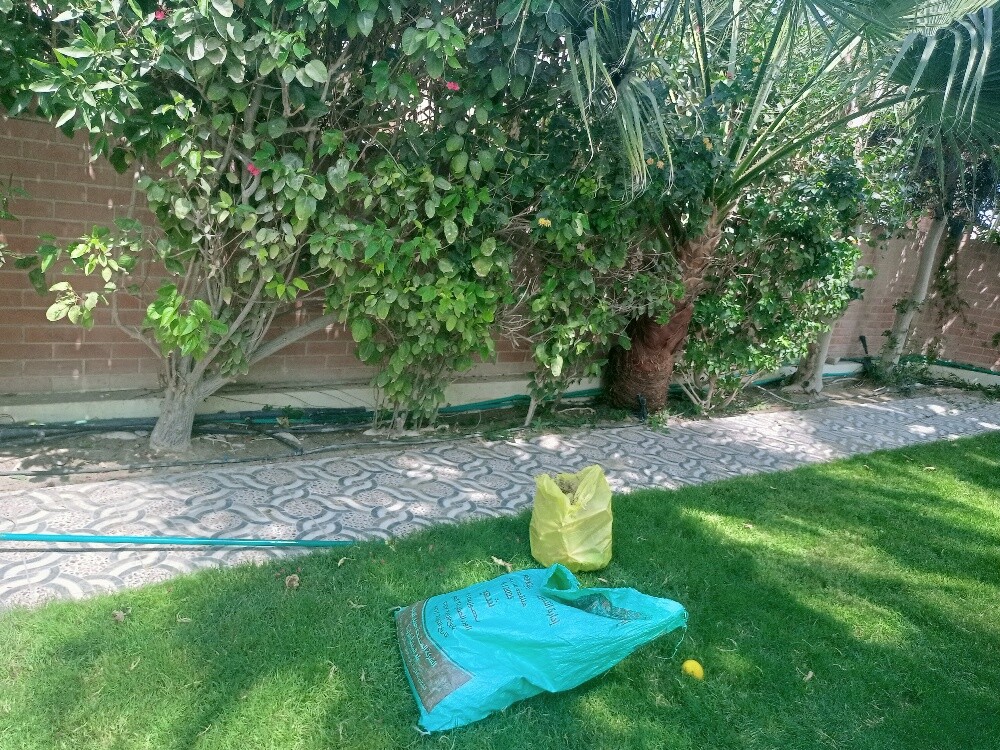 البلوشی - 6