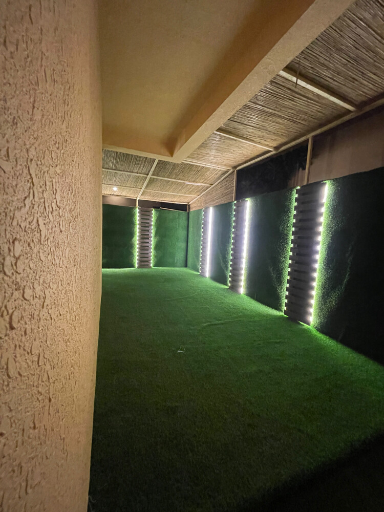 Artificial Green Grass Carpet  - 4