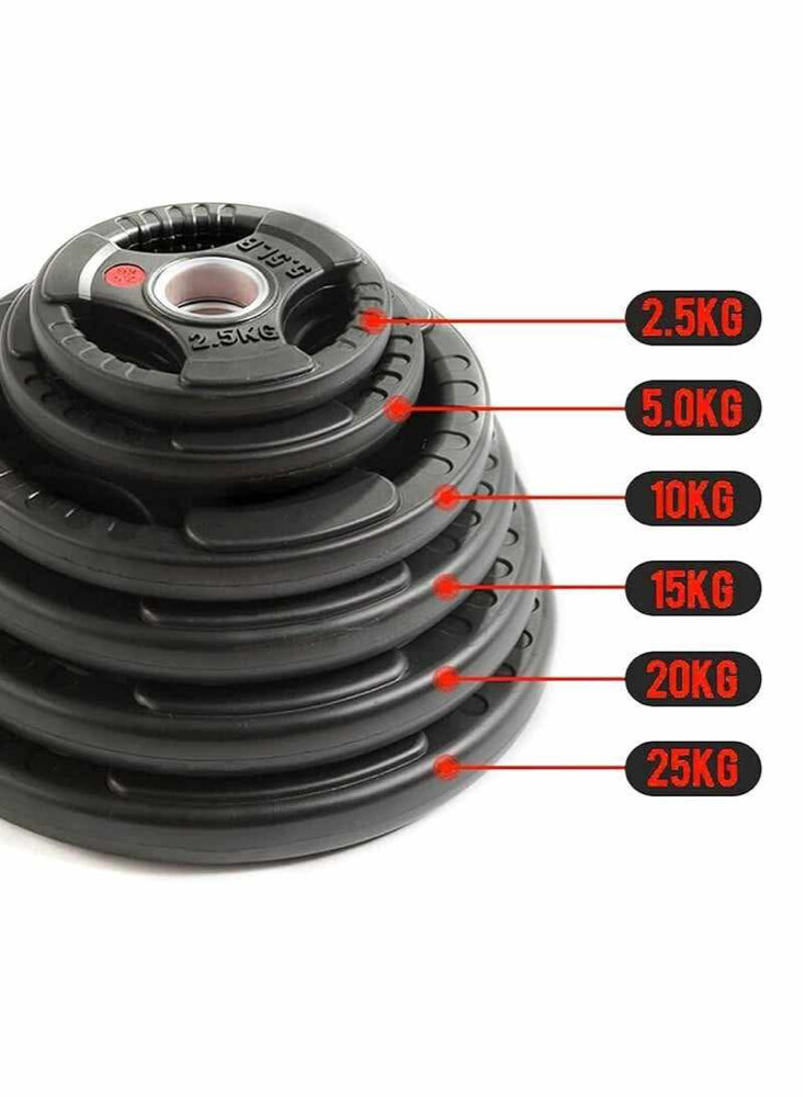 Olympic Weight plate per kg 17qr - 1