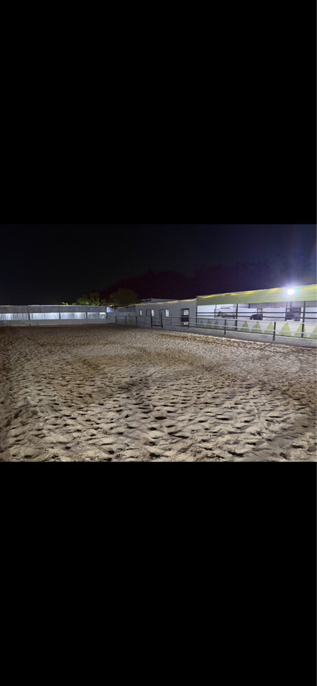 Horse room 1000 - 3