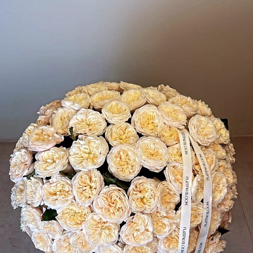 Bloom of Queen magic Floral event - 9
