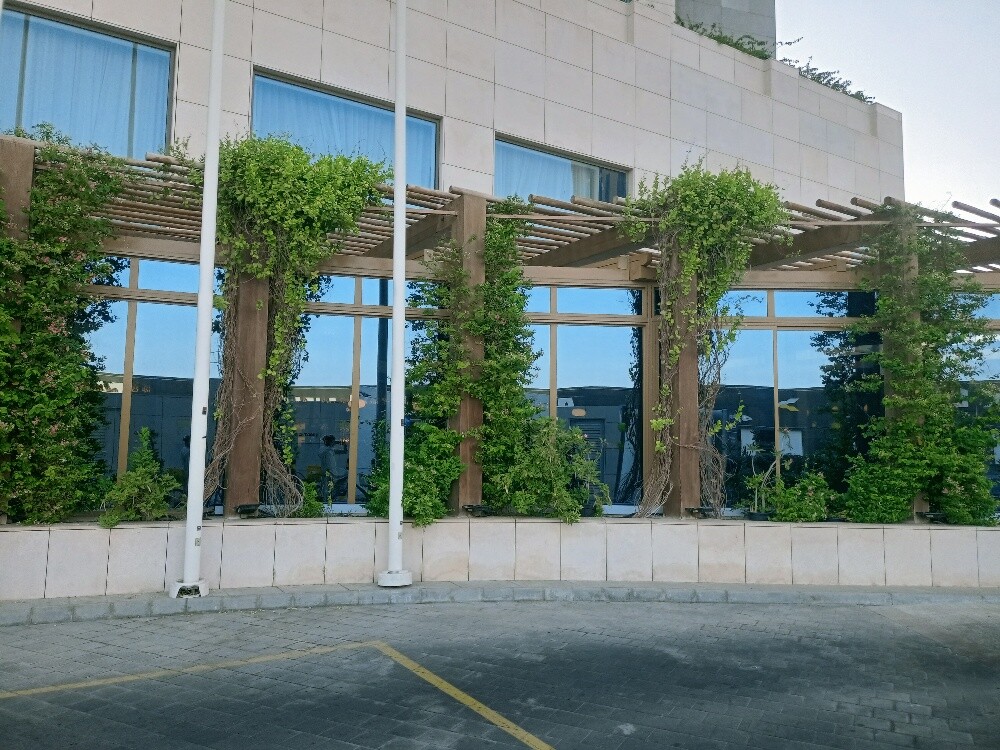Javed Al Balushi - 10