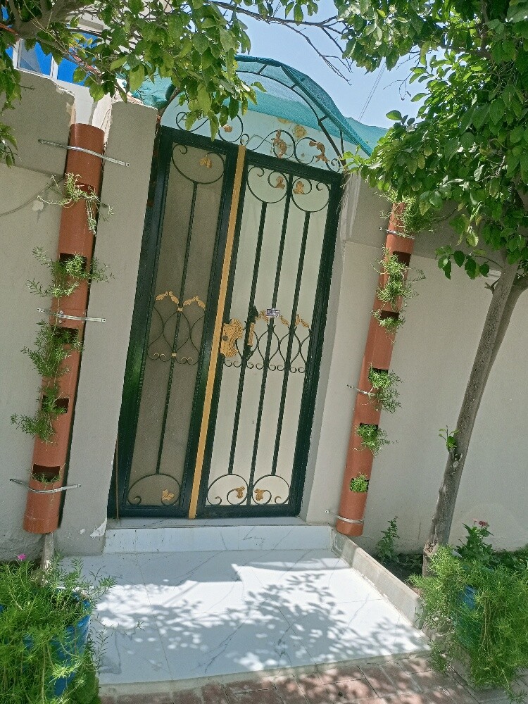 Javed Al Balushi - 8