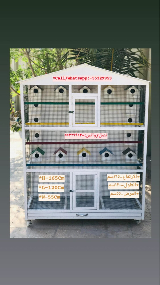Chicken And Pigeon House - 4