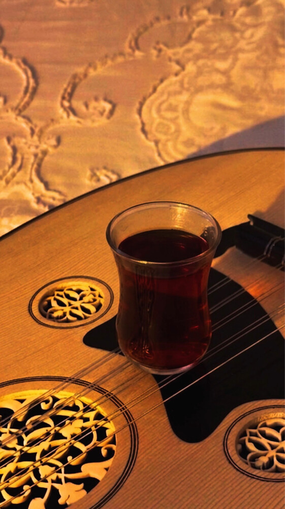 عود عزف للبيع او للبدل بطيور - 3