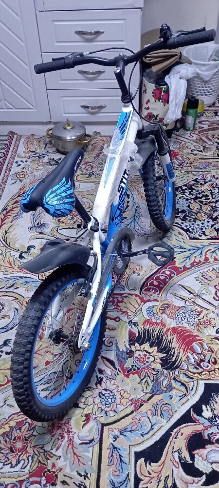 18 ins baycycle - 2