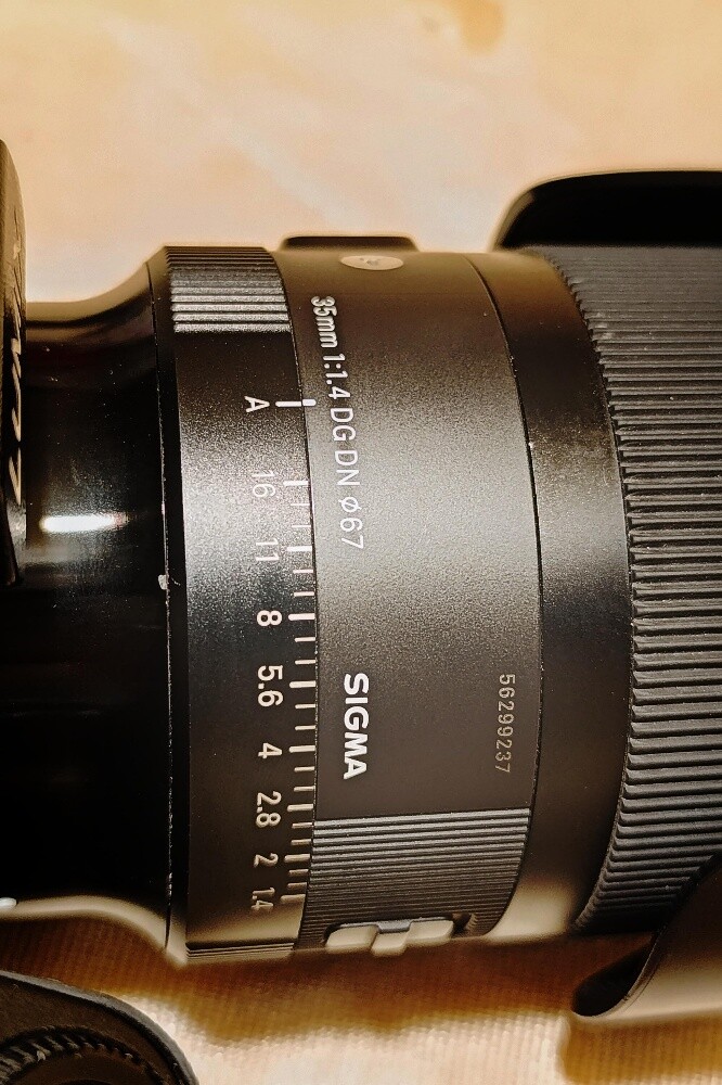 Panasonic Lumix S5 II  Sigma 35mm - 3