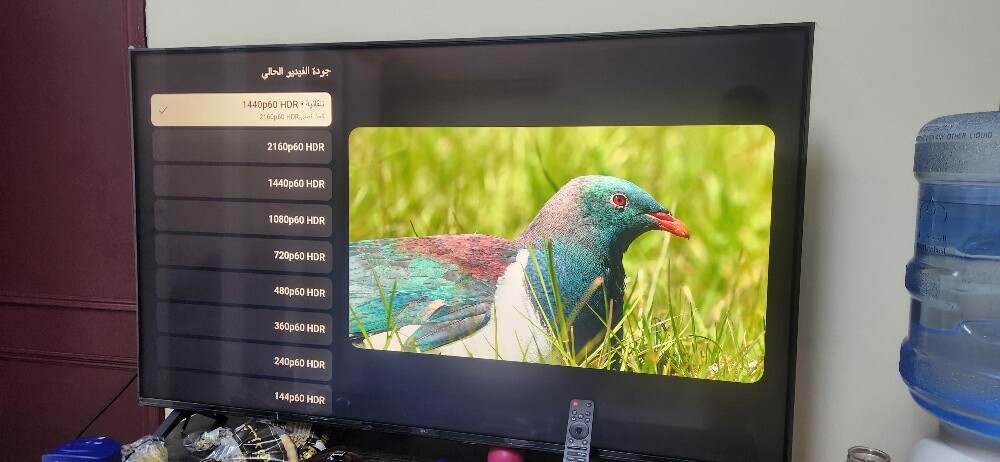 LG 55 Inch UHD Smart TV - 4