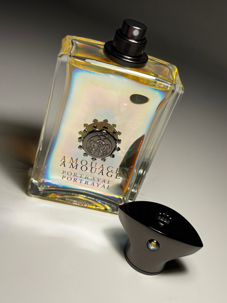 Amouage Portrayal EDP 100ml - 3