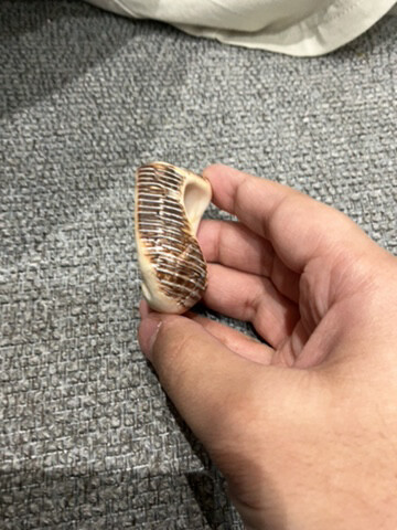 حجر كريم من عمان - 2