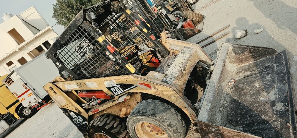 for sale bobcat - 1