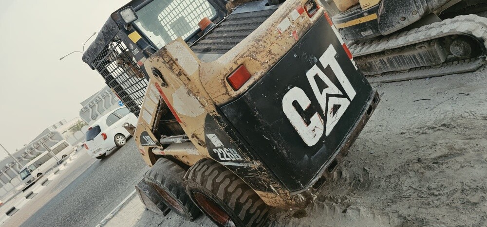 for sale bobcat - 7