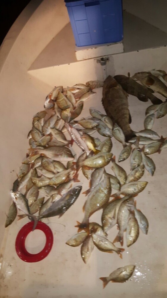نوخذة خبرة فالبحر - 26