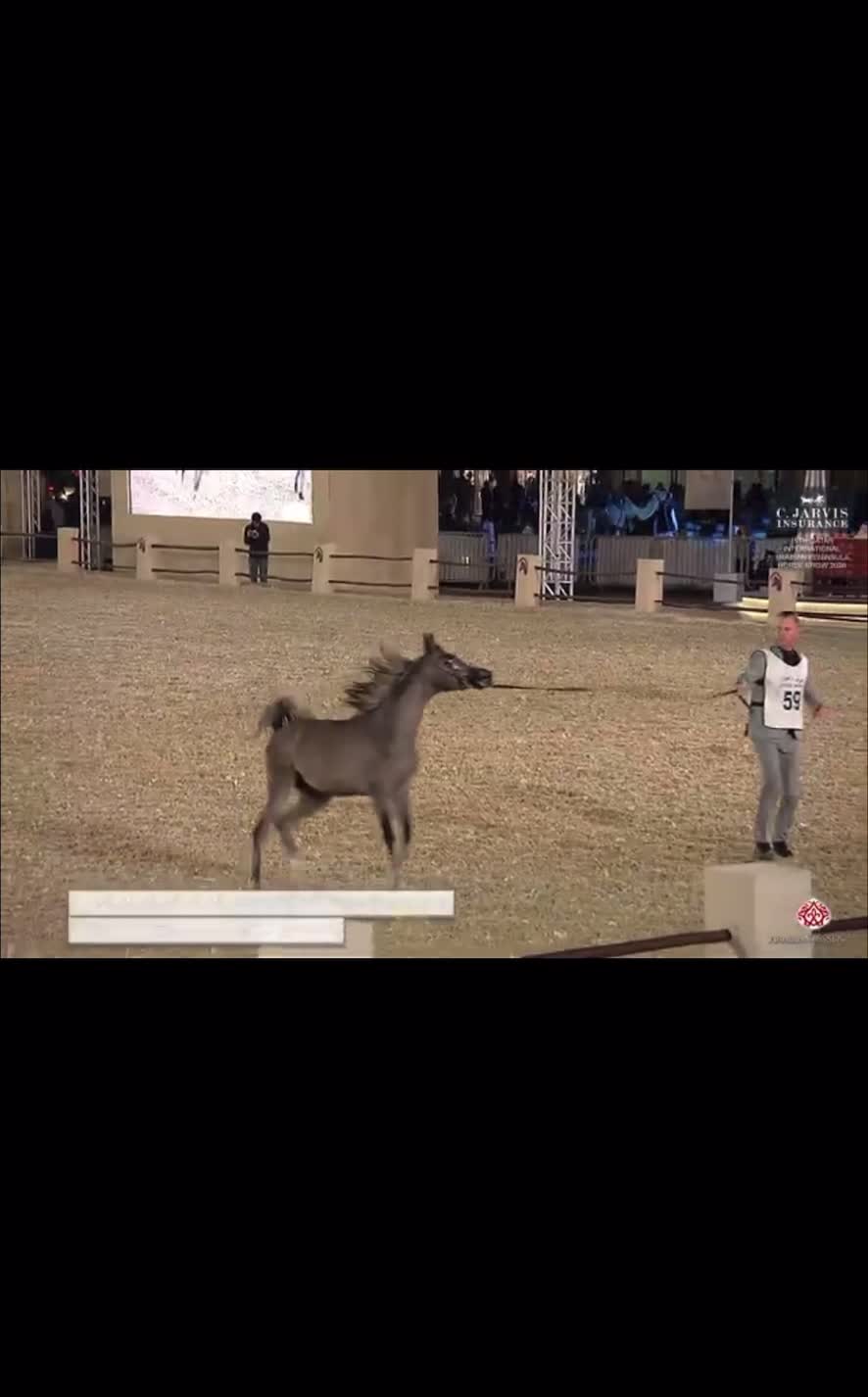 مغير المجره - 1
