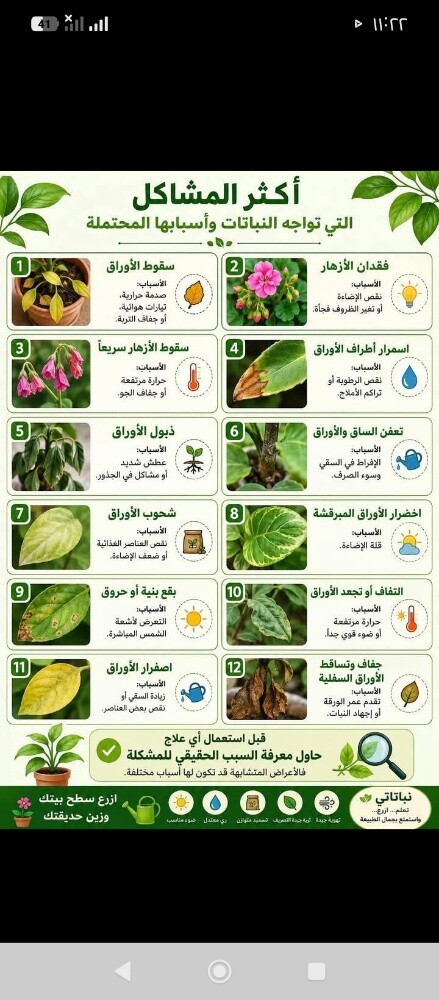 يوجد جميع انواع الزهور - 18