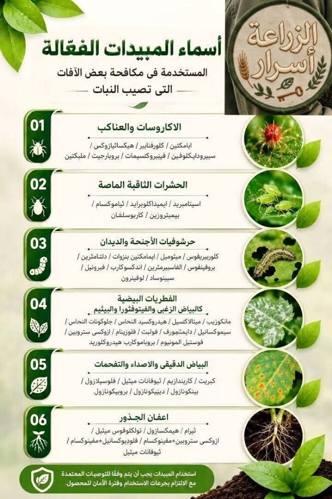 يوجد جميع انواع الزهور - 6