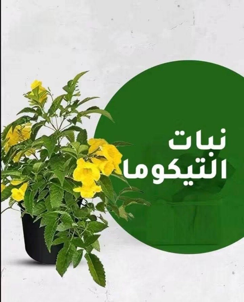 حول بيتك لبيت عصري وتنسيق الحدائق - 6