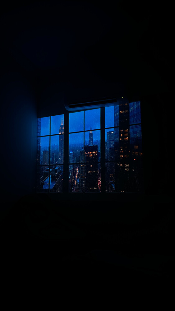 projector - 3