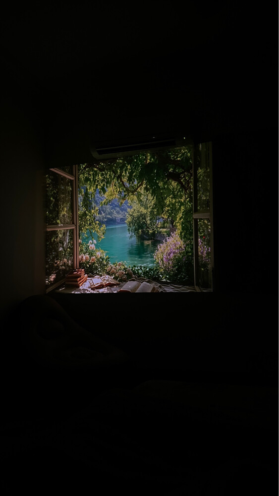 projector - 5