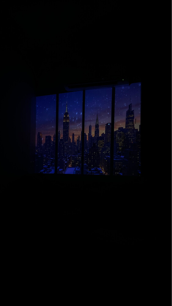 projector - 2