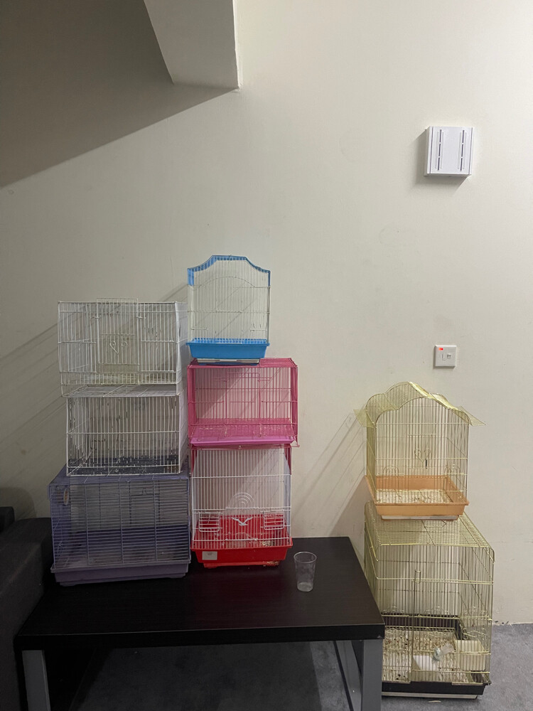All cages on 250 - 1