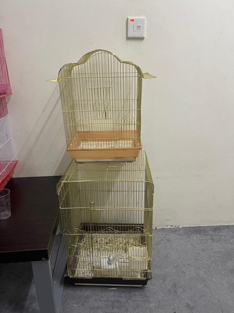2 cages on 165 Qr - 1