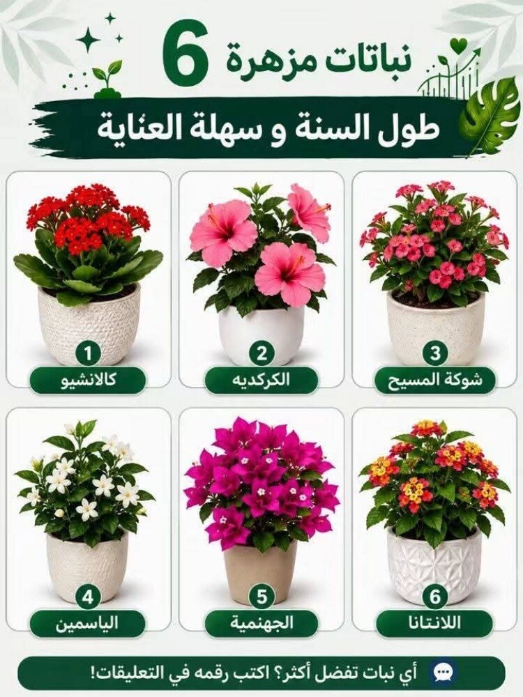 جميع انواع الورد والياسمين - 1
