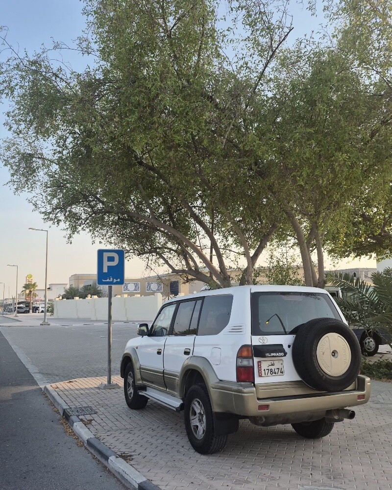 برادو ١٩٩٨ - 2