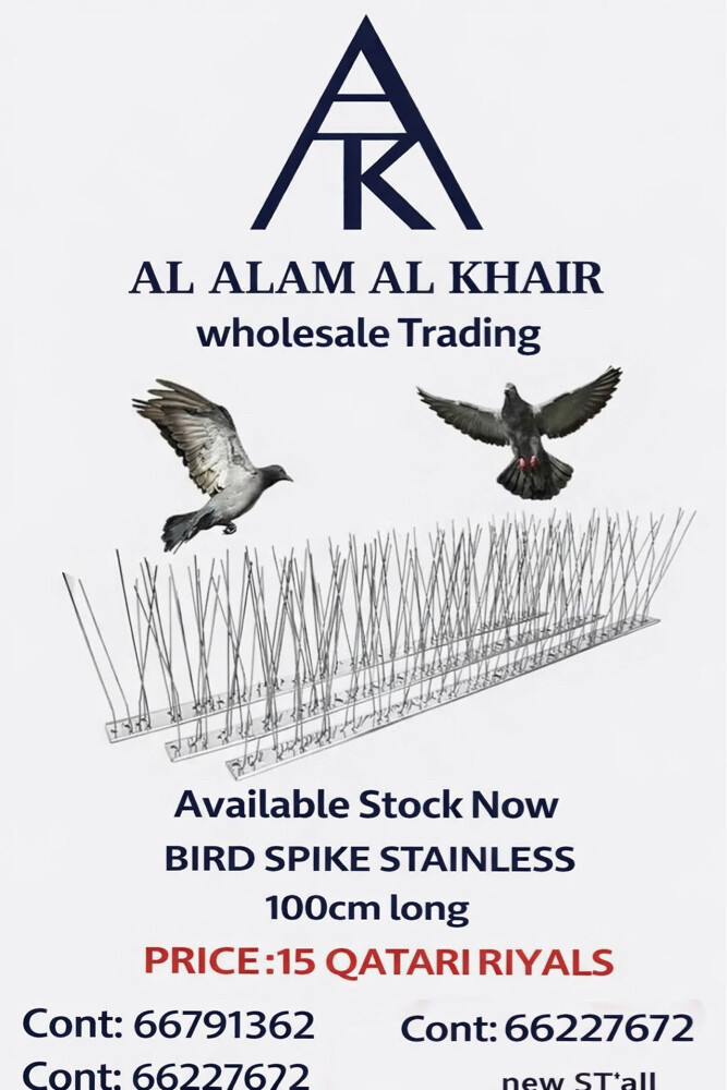 Birds spikes Standless.steel 1Meter - 1