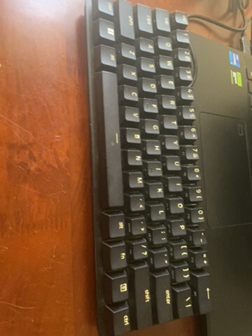 zayaan - 2