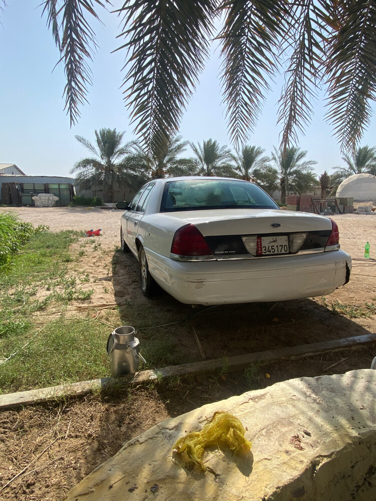 للبيع - 2