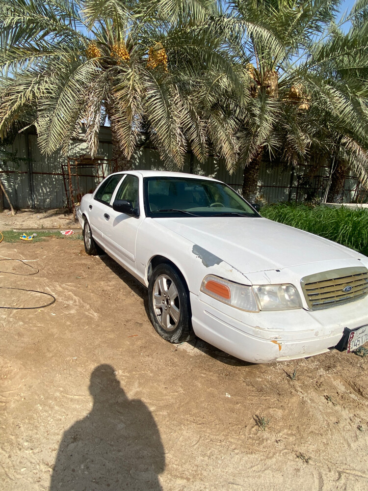 للبيع - 6