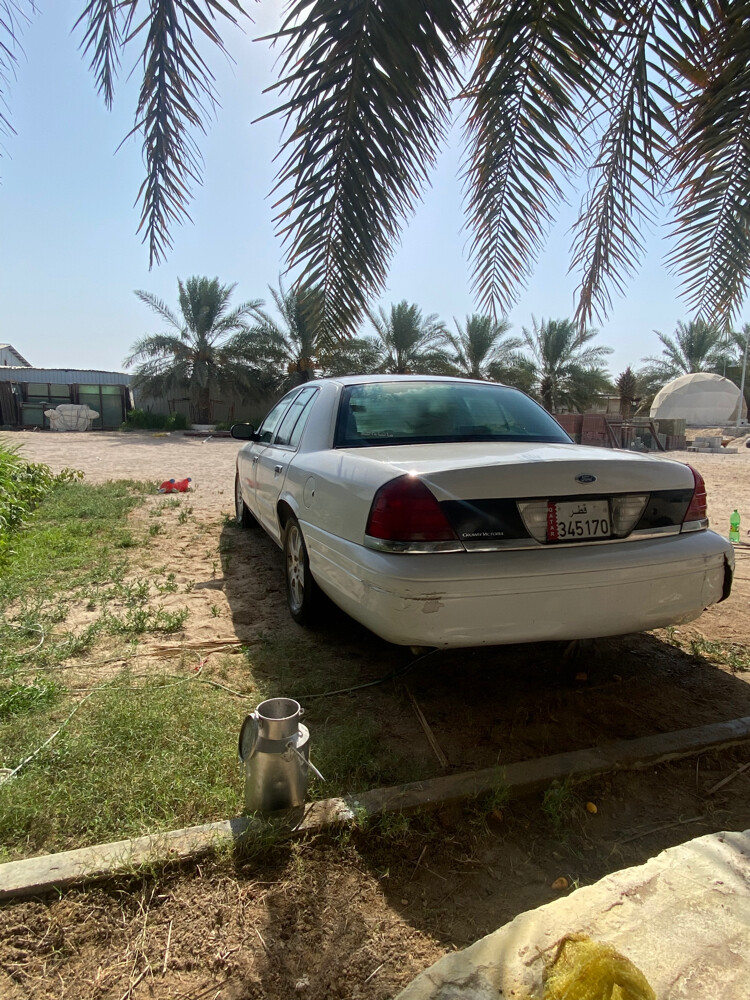 للبيع - 3