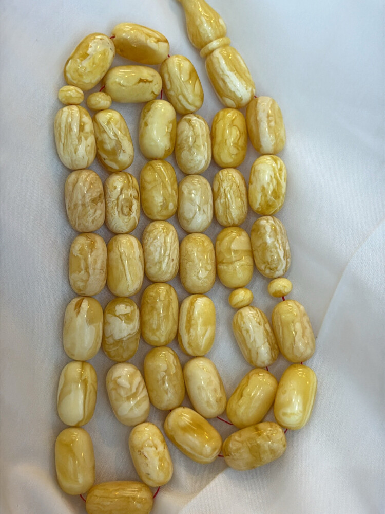 للبيع صنوبري او فلاحي  - 2
