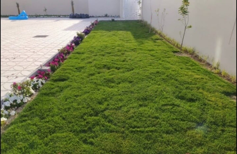 زراعه تنسيق حدائق وشبكه ري - 4
