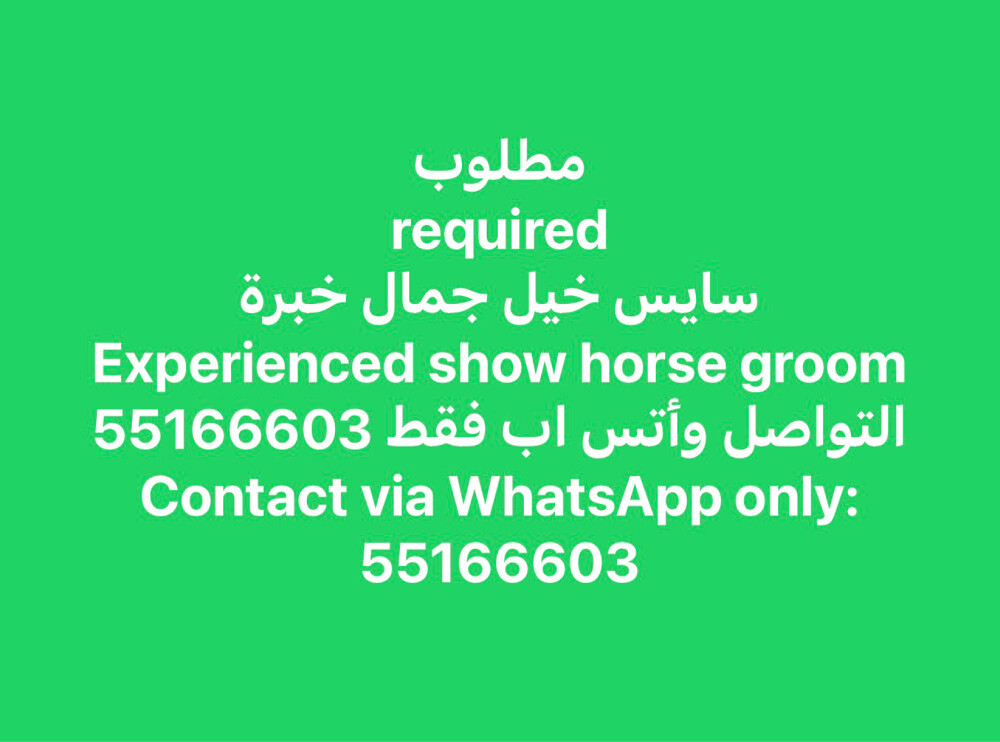 مطلوب سايس خيول جمال ذو خبرة - 1