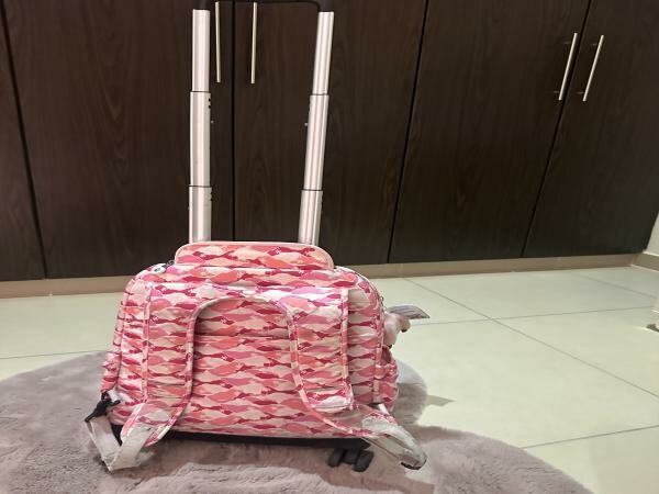 Kipling school bag - 3