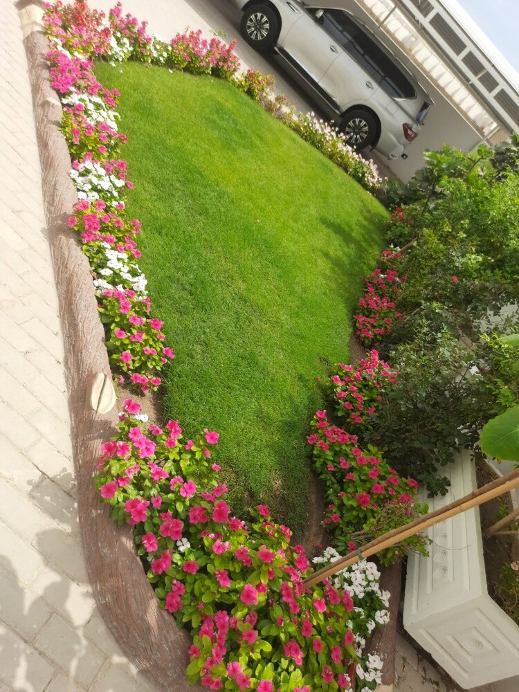 صيانه الحدائق - 3