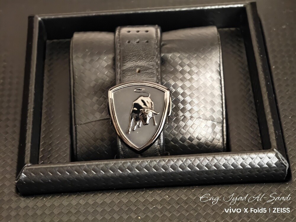 Tonino Lamborghini Exclusive Watch - 2