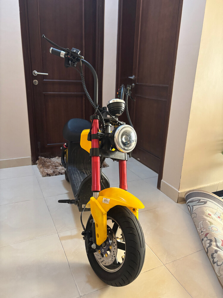 Electric scooter (wesley) - 3