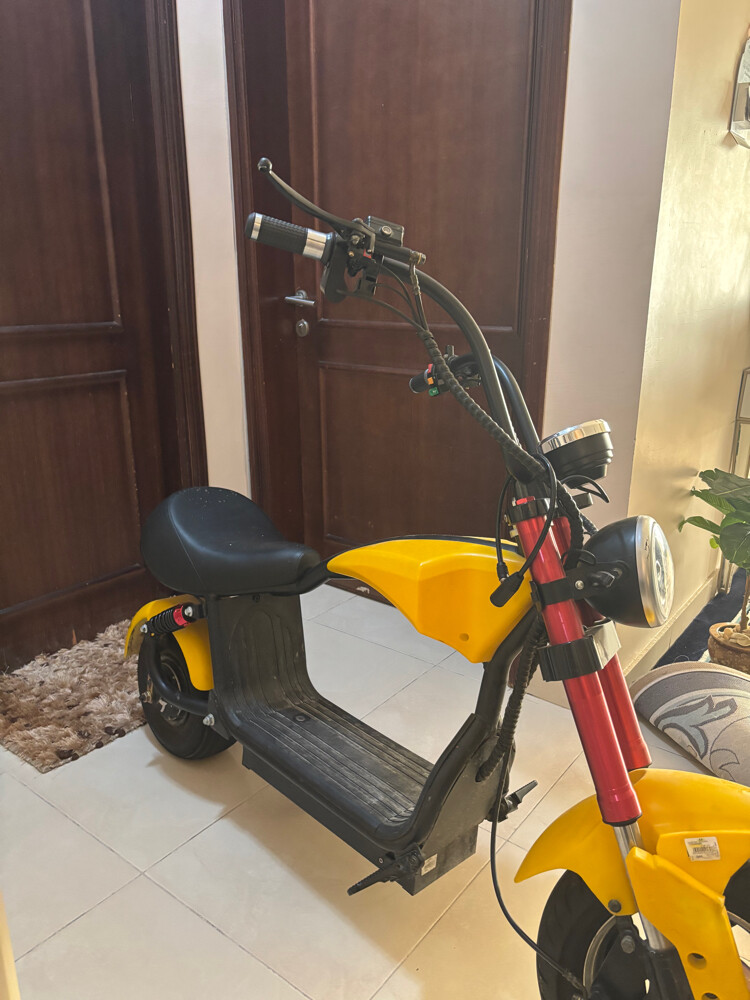 Electric scooter (wesley) - 4