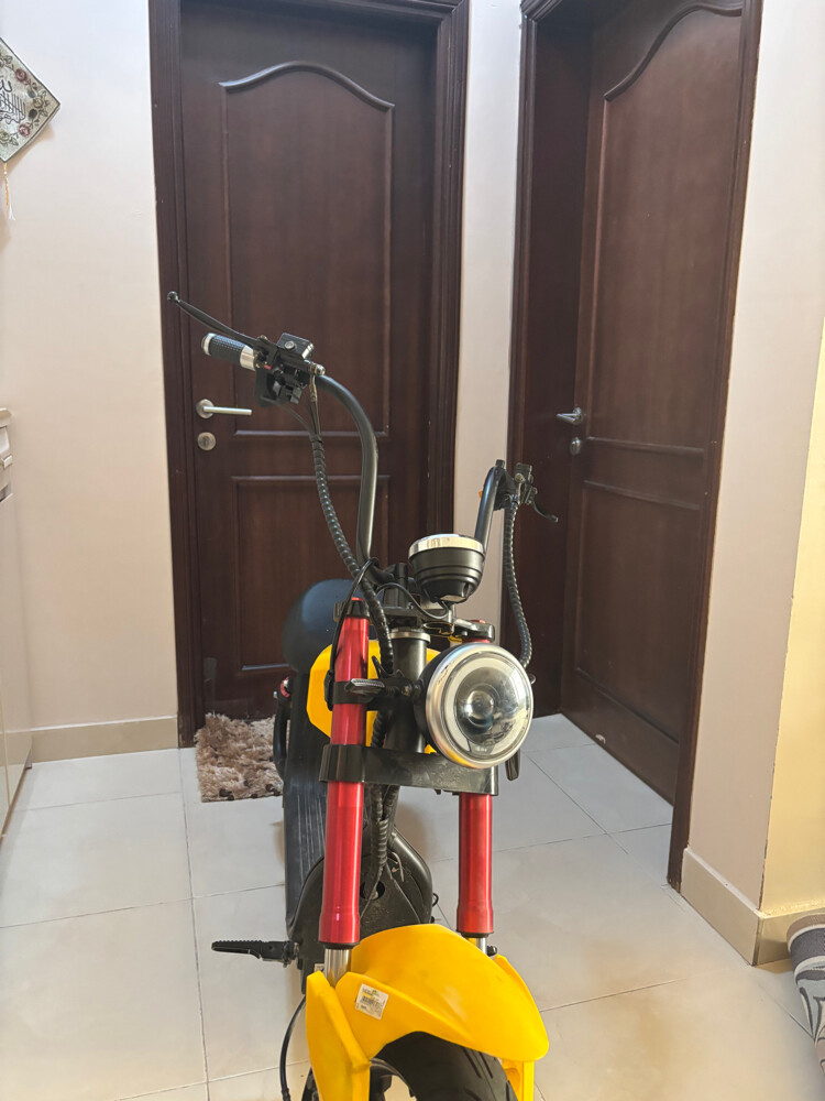 Electric scooter (wesley) - 2