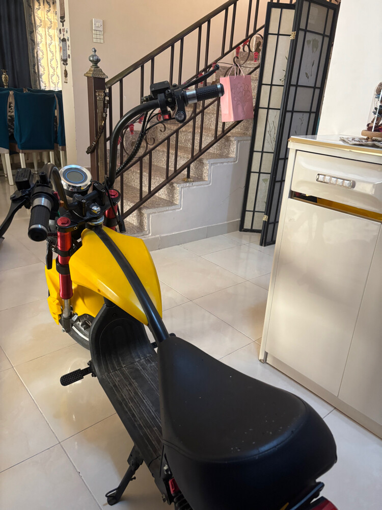 Electric scooter (wesley) - 5