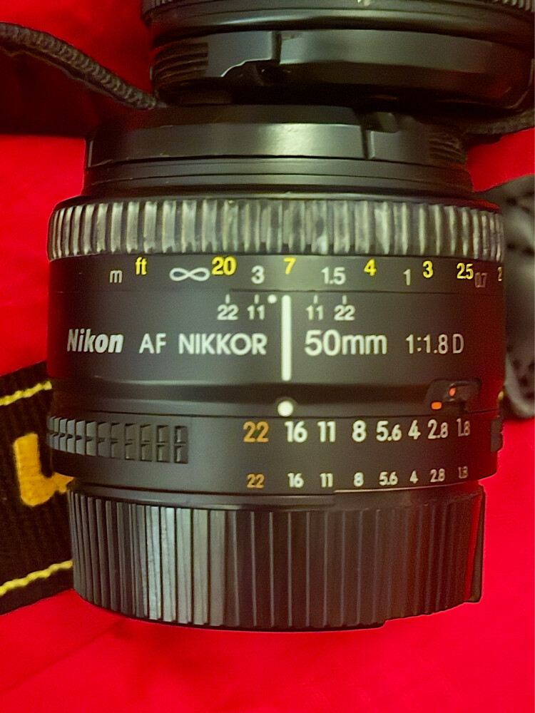 Nikon D3100 - 2