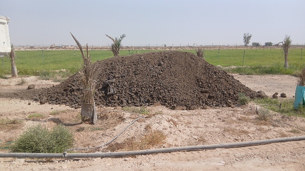 سماد ابقار - 2
