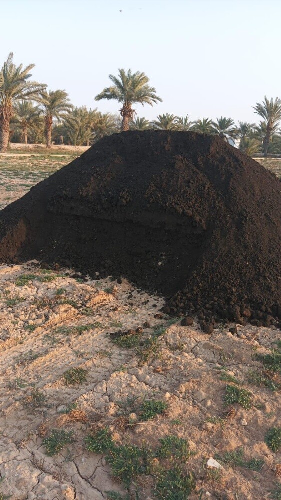 سماد ابقار - 3