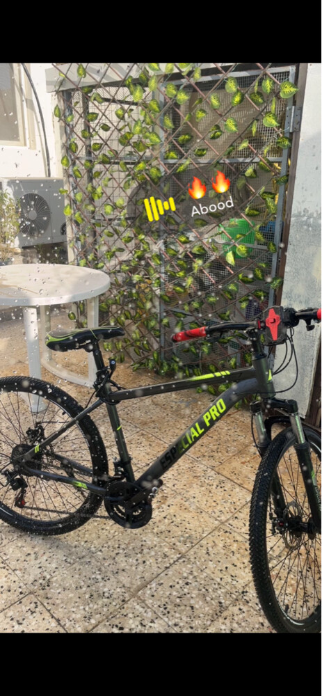 bicycle - 2