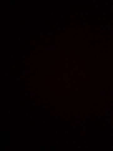 مطلوب موستنج - 1