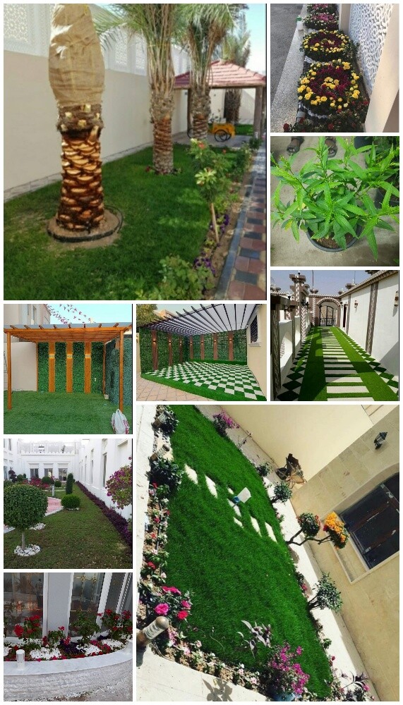 Garden new landscape - 19